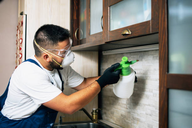 Pest Control for Restaurants in Pine Mountain Clu, CA